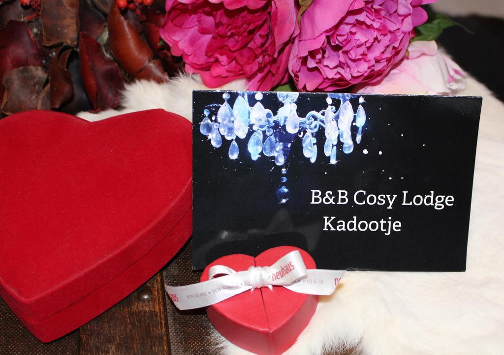 ديلبيك Cosy Lodge المظهر الخارجي الصورة